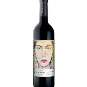 Claroscuro Bodega de Arte Cabernet Franc 2022