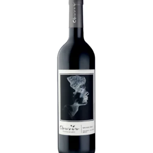 Claroscuro Bodega de Arte Malbec 2023