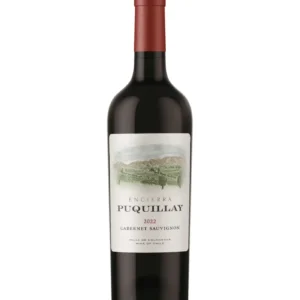 Puquillay Cabernet Sauvignon 2022, vino tinto chileno