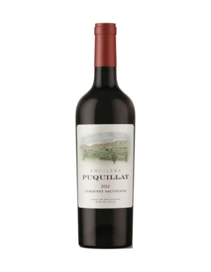 Puquillay Cabernet Sauvignon 2022, vino tinto chileno
