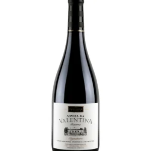 Valentina Premium Signature 2022