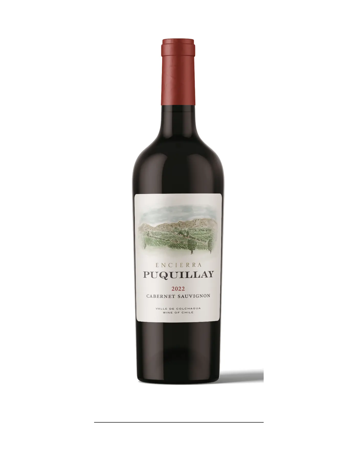 Puquillay Cabernet Sauvignon 2022, vino tinto chileno