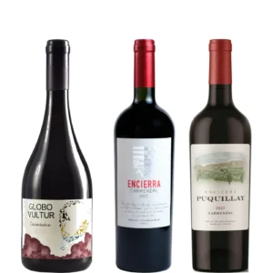 Ruta del Carménère