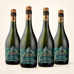 Sexto Sentido Lupulado 2022 · Pack de 4 botellas
